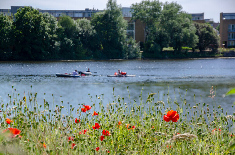 Graham Wiffen - Lymington River from Undershore Rd - DSC_7198a - Lymington Flower Festival 2019