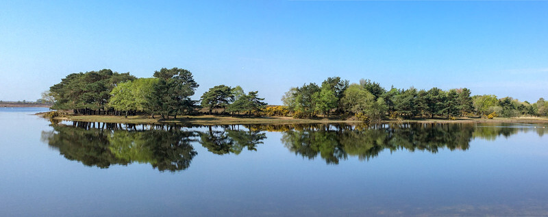 Hatchett Pond panorama - Lockdown 2020 Favourites