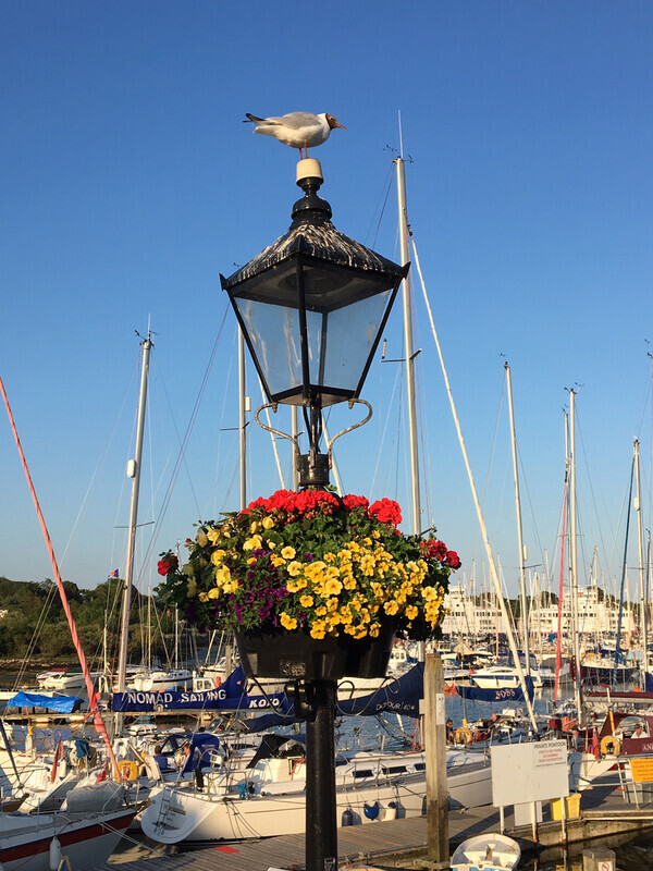 Graham Wiffen - Town Qyuay - IMG_0173 - Lymington Flower Festival 2019