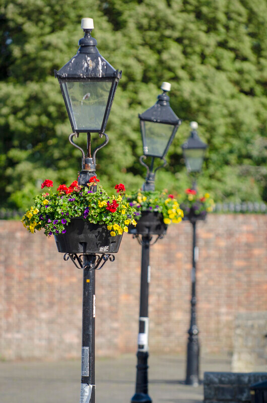 Graham Wiffen - Town Quay - DSC_7167 - Lymington Flower Festival 2019