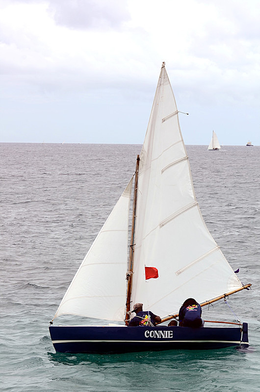 DSC_0598 - Saturdays races