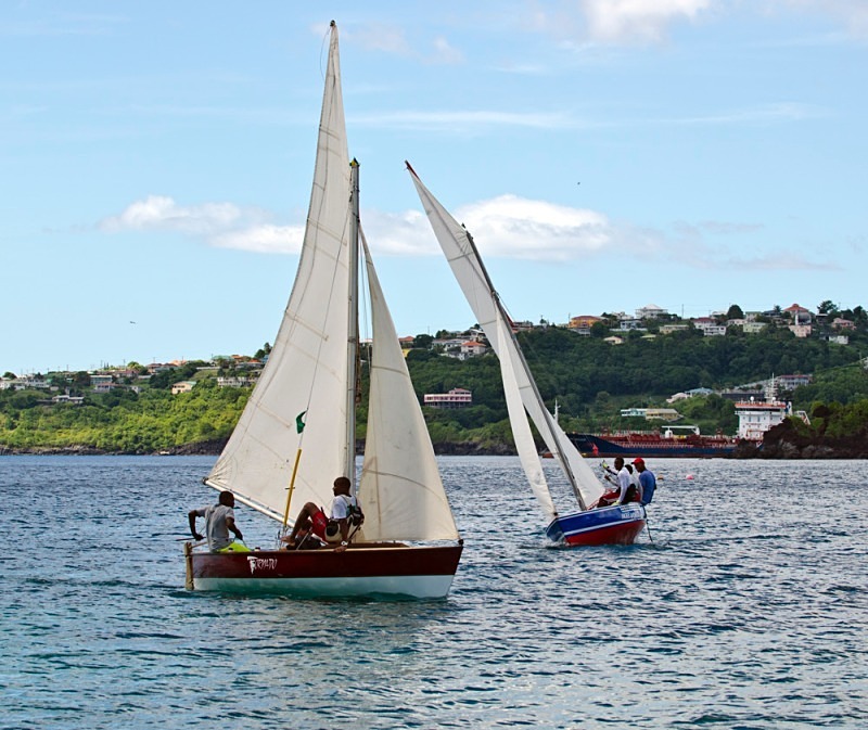 Bequia Youth Sailors at a local regatta held at Young Island - Bequia Youth Sailors : Young Island Regatta