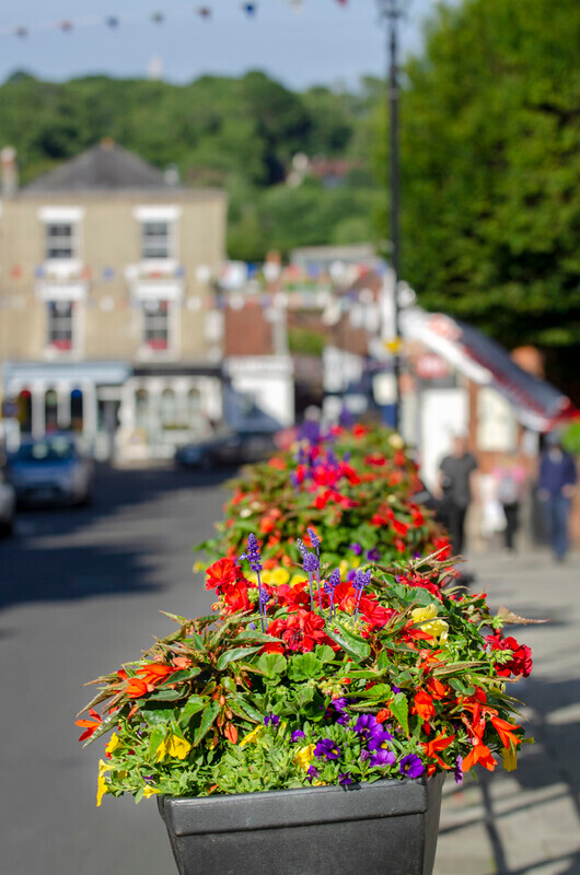 Graham Wiffen - High St - DSC_7186 - Lymington Flower Festival 2019
