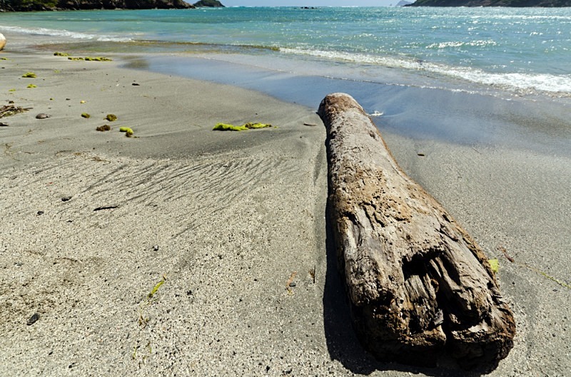 A driftwood log on the beach at Spring Bay