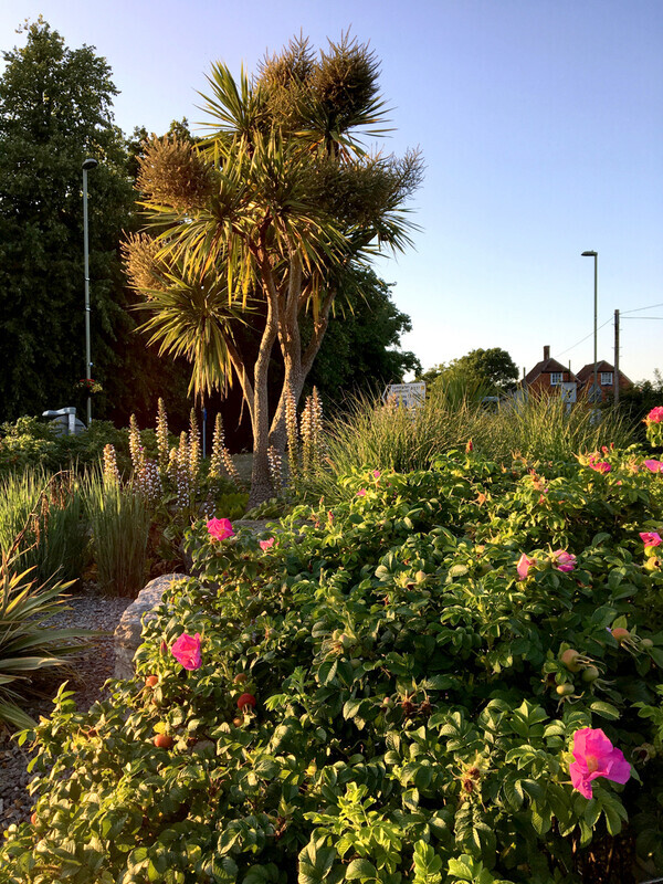 Graham Wiffen - Pennington Lane roundabout - IMG_0181 - Lymington Flower Festival 2019