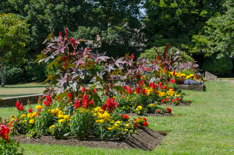 Graham Wiffen - Woodside Park - DSC_0016 - Lymington Flower Festival 2019