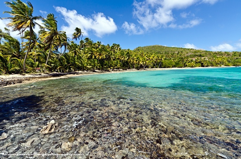 The crescent Beach at Industry Bay, Bequia