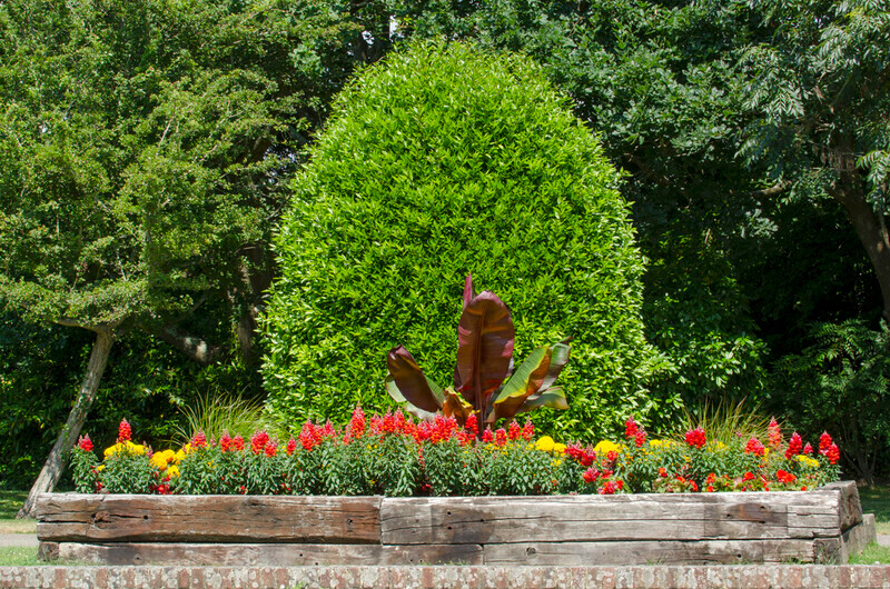 Graham Wiffen - Woodside Park -DSC_0008 - Lymington Flower Festival 2019