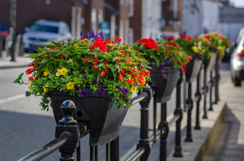 Graham Wiffen - Gosport St - DSC_7187 - Lymington Flower Festival 2019