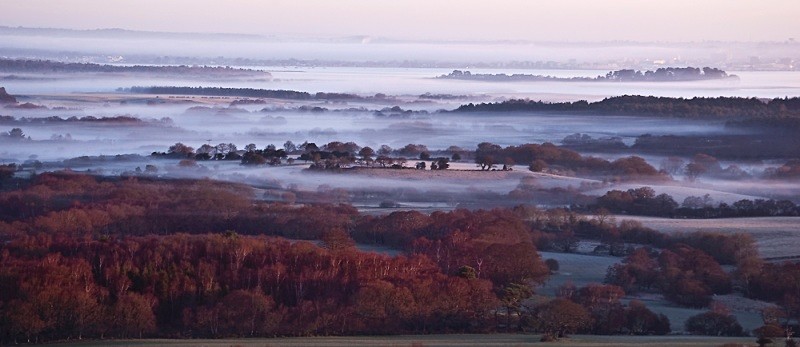 Morning mists over Arne Forest