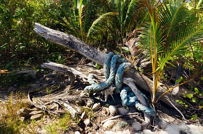 A selection of beach debris on the beach at Spring bay, Bequia