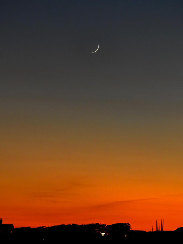 Moonset over Milford - 2 - Lockdown 2020 Favourites