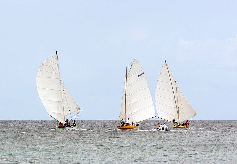DSC_0558 - Saturdays races