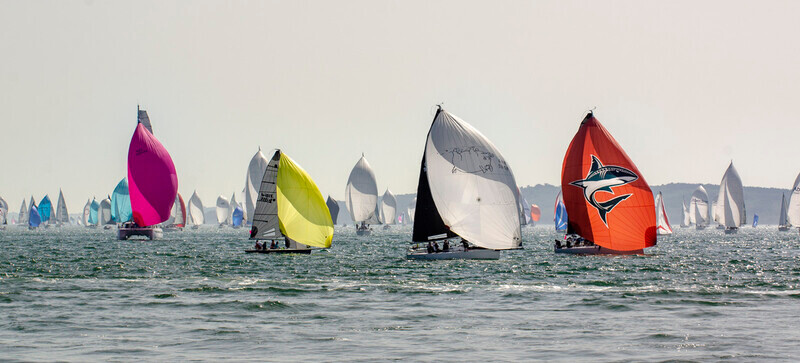 DSC_9389 - Round the Island 2019