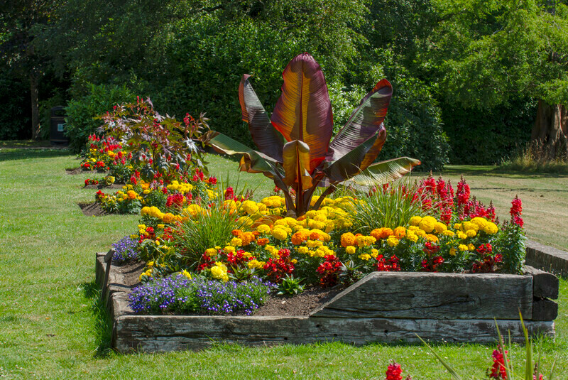 Graham Wiffen - Woodside Park - DSC_0025 - Lymington Flower Festival 2019