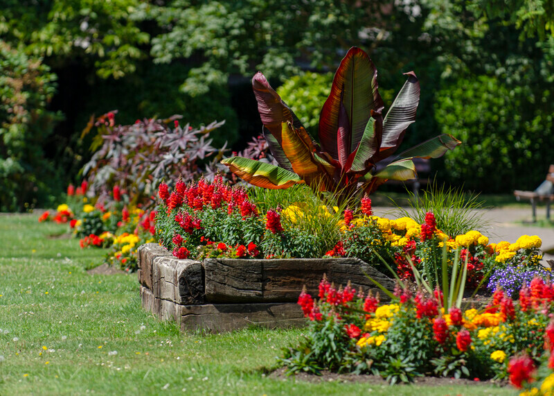 Graham Wiffen - Woodside Park - DSC_0012 - Lymington Flower Festival 2019