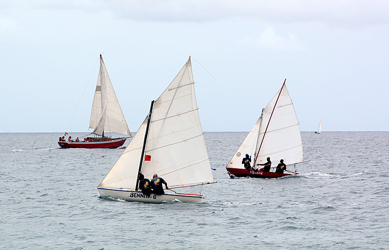 DSC_0576 - Saturdays races