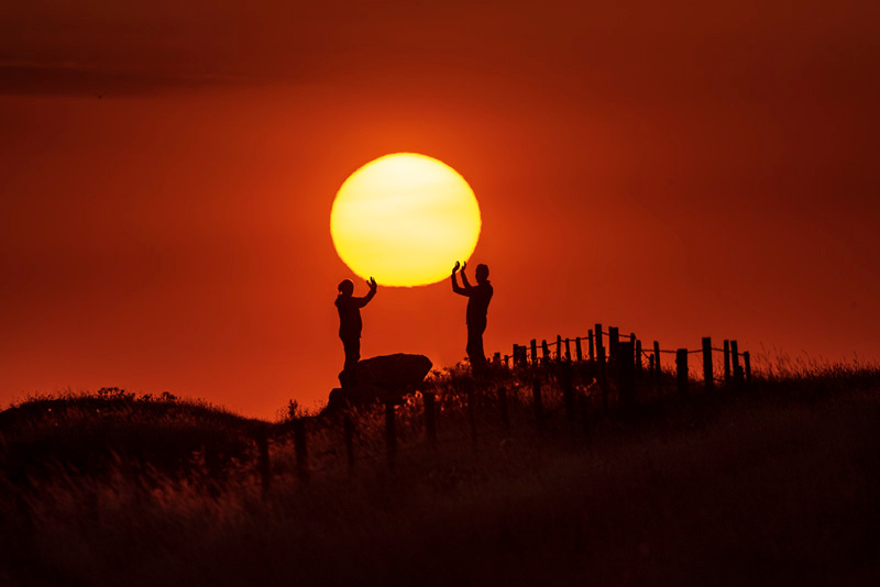 Holding the sunshine - D75_7923 - Local Scenes