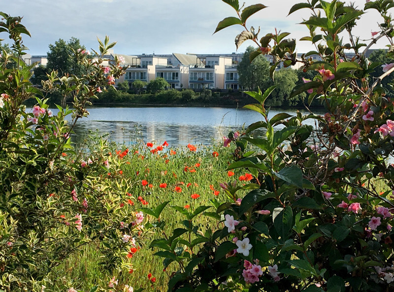 Lymington In Bloom - 2 - Lockdown 2020 Favourites
