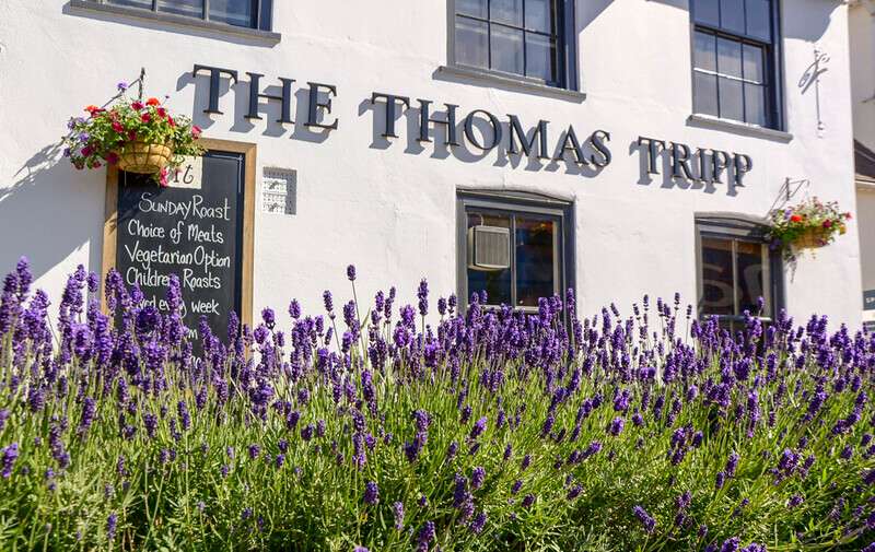 Graham Wiffen - Thomas Trip - DSC_7223 - Lymington Flower Festival 2019
