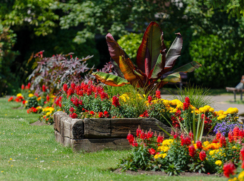 Lymington In Bloom - 1 - Lockdown 2020 Favourites
