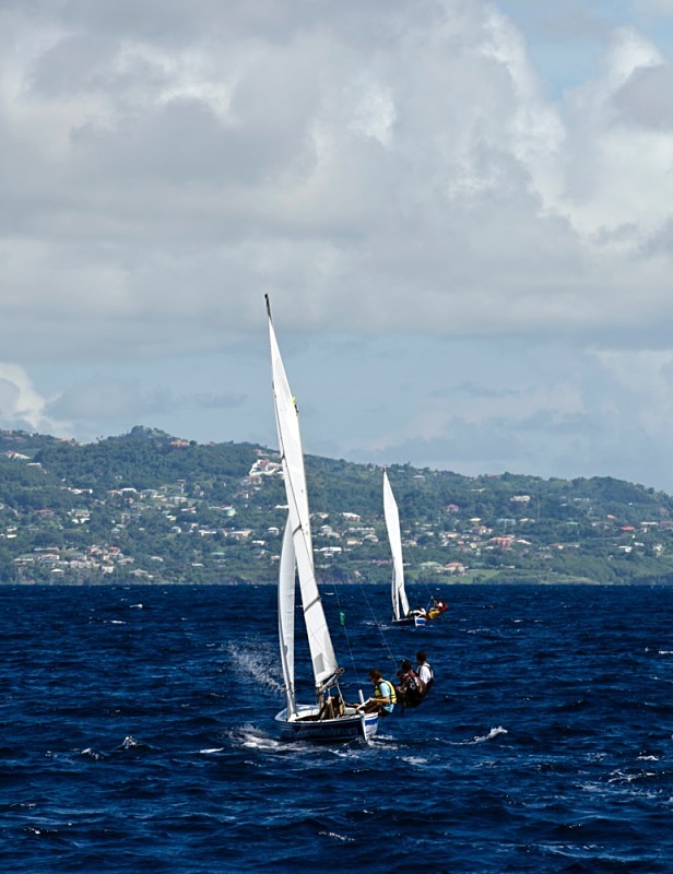 Bequia Youth Sailors preparing for a trip to Young Island, St Vincent - Bequia Youth Sailors : Young Island Regatta