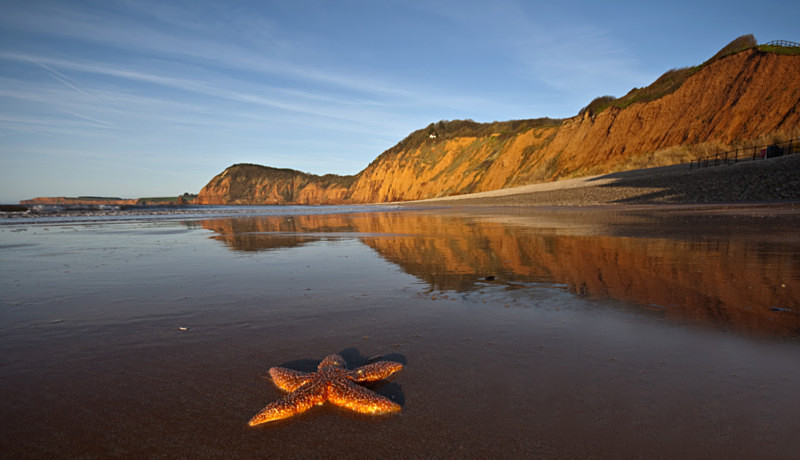 Sidmouth at sunrise