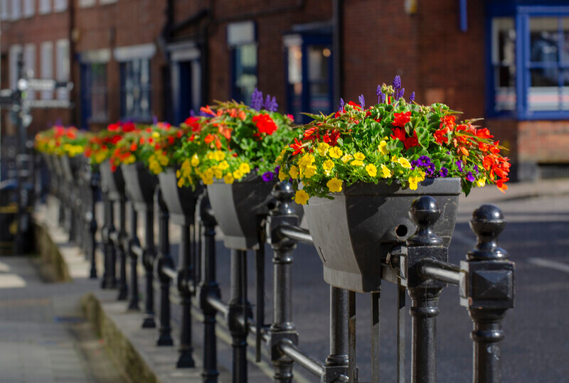 Graham Wiffen - Gosport St - DSC_7145 - Lymington Flower Festival 2019
