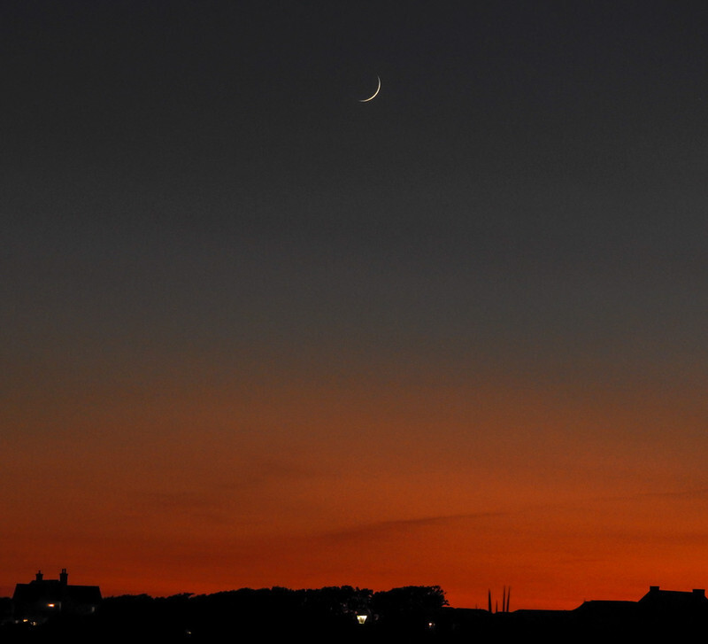 Moonset over Milford - 1 - Lockdown 2020 Favourites