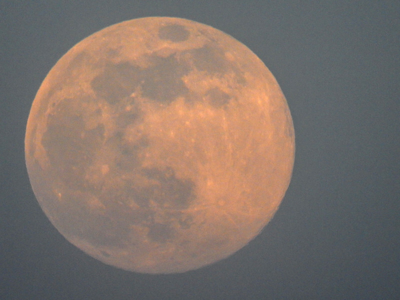 Pink Spermoon 7/4/2020 - 3 - Lockdown 2020 Favourites