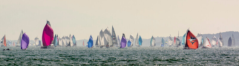 DSC_9334 - Round the Island 2019