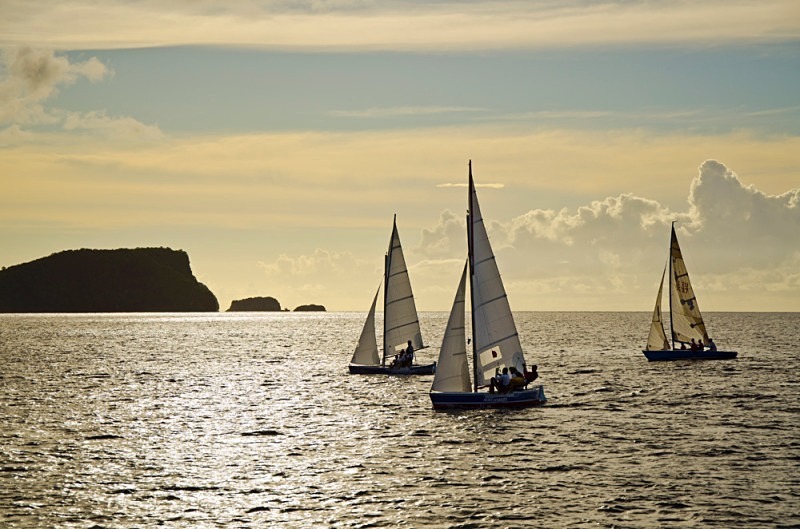 And coming back after a great days racing - Bequia Youth Sailors : Young Island Regatta