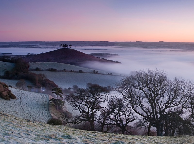 Morning Mists over Colmers Hill - Landscapes