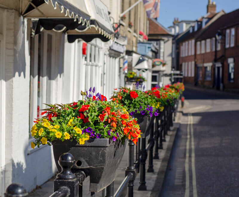 Graham Wiffen - Gosport St - DSC_7124 - Lymington Flower Festival 2019