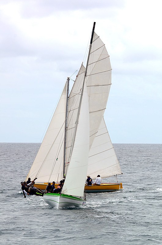 DSC_0621 - Saturdays races