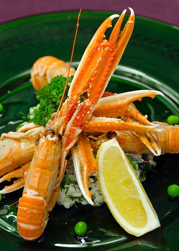  - Food Photography