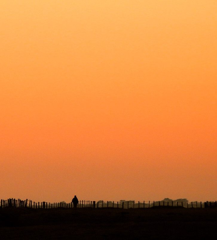Golden evening walk - Lockdown 2020 Favourites