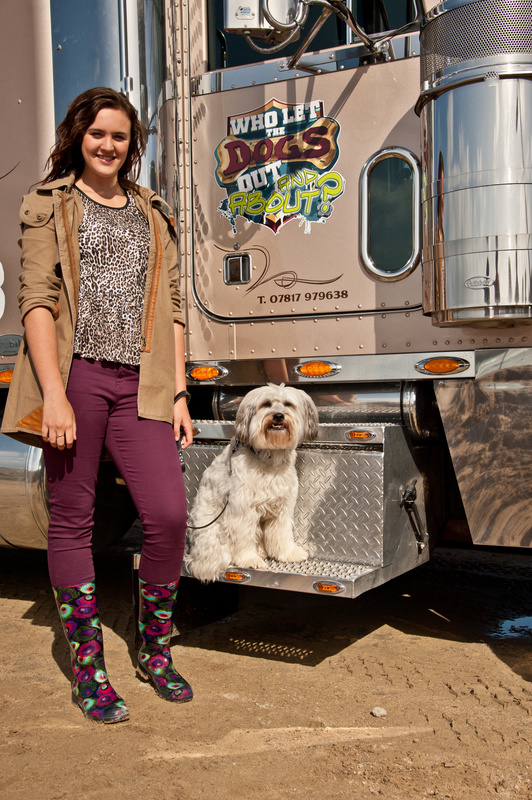  - Who let the dogs out and about