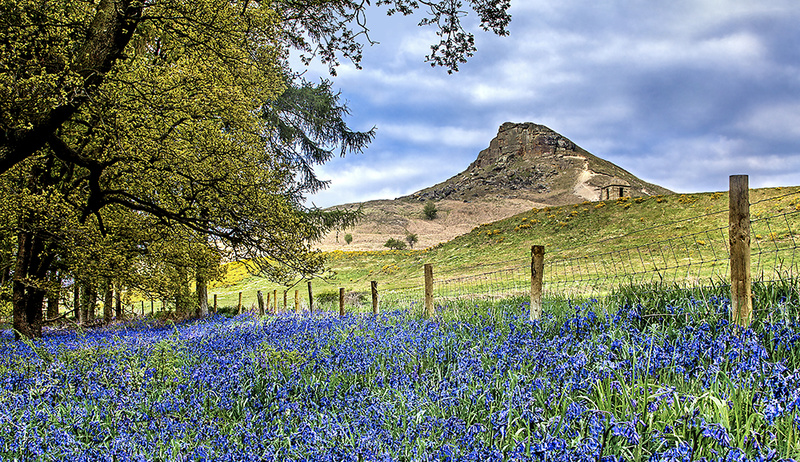Spring Topping - This is England - Countryside, Cities, Towns and Villages