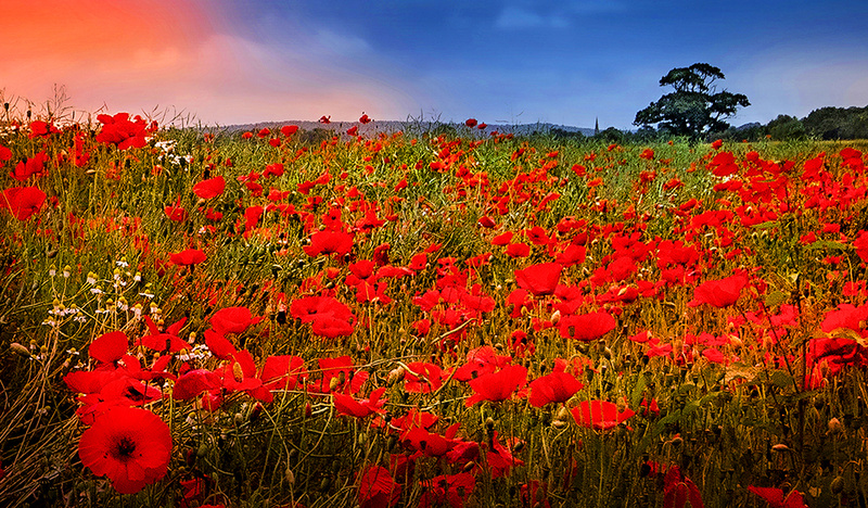 The Red Carpet - This is England - Countryside, Cities, Towns and Villages