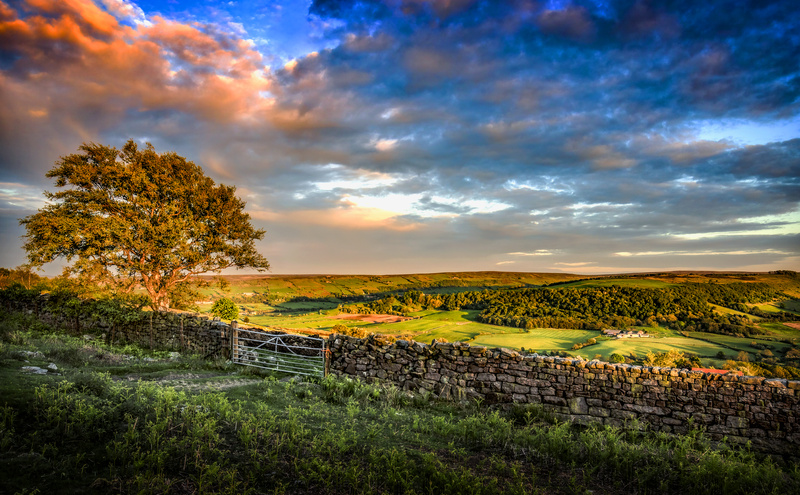 A Golden Evening at Danby - This is England - Countryside, Cities, Towns and Villages