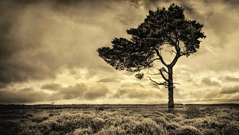 Peace in Solitude - It's Not Just Black and White