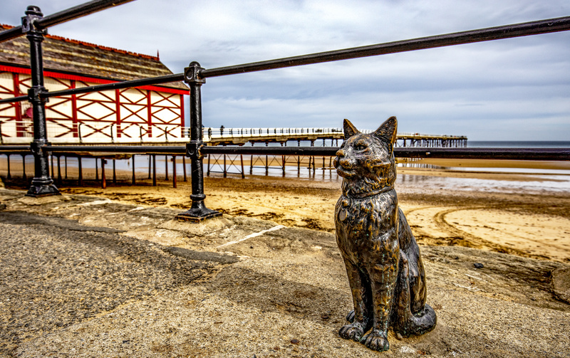 Hendrix the Cat - This is England - Coastal Towns and Villages