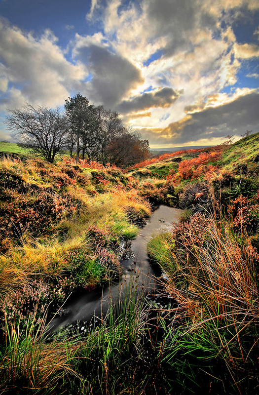 Autumn Moors - This is England - Countryside, Cities, Towns and Villages