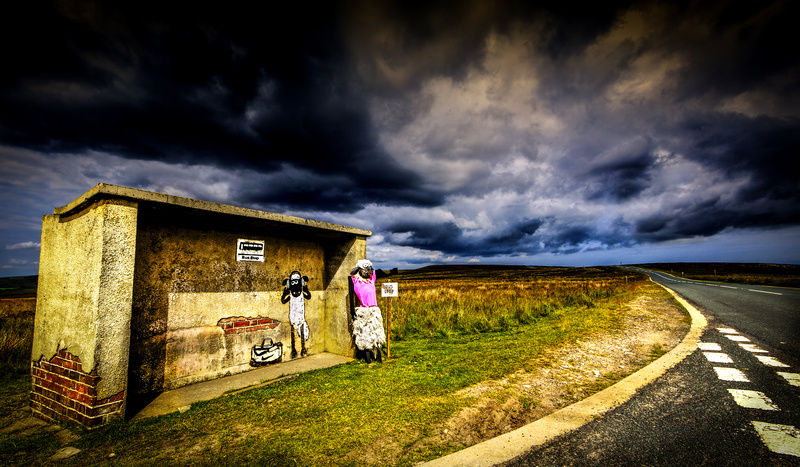 Baa Stop  - North Yorkshire - This is England - Countryside, Cities, Towns and Villages