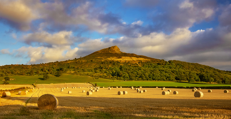 Golden Roseberry - This is England - Countryside, Cities, Towns and Villages