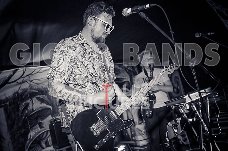 Honest Crooks-257 - HONEST CROOKS