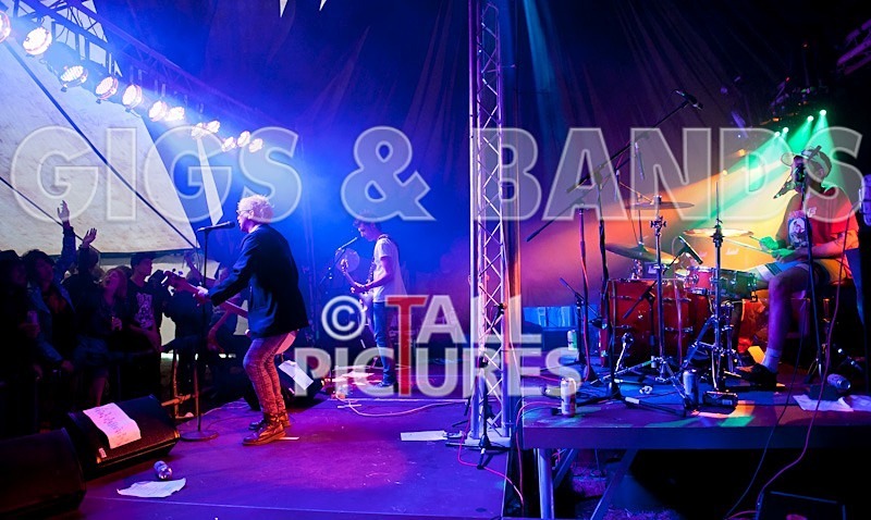 Top Buzzer-21 - TOP BUZZER