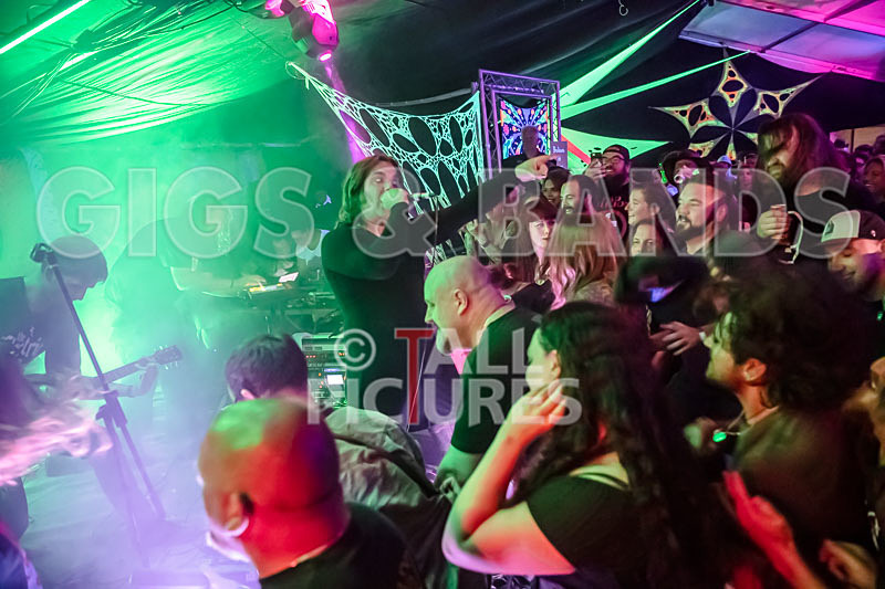 Mechanical Lobster-1 - MECHANICAL LOBSTER