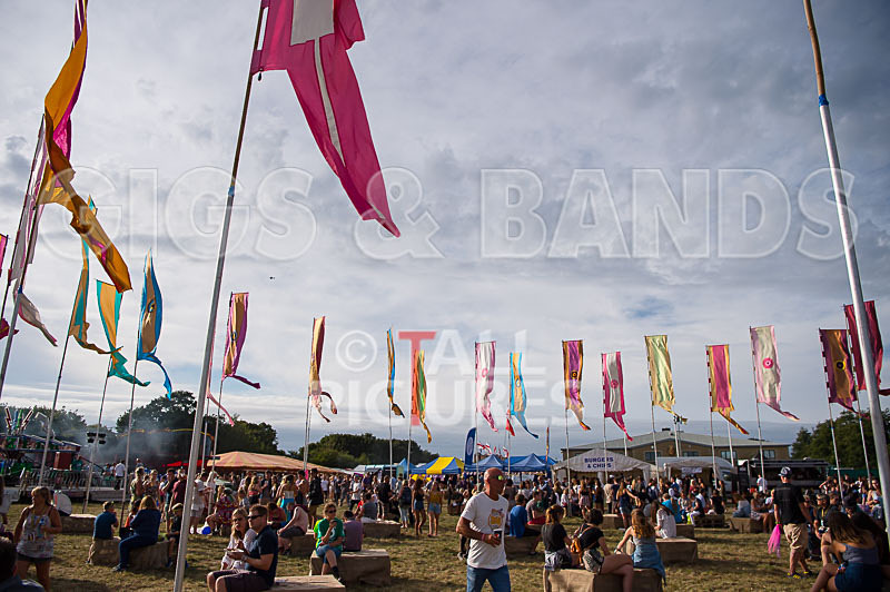 Jersey Live 2016_Scene-35 - JERSEY LIVE 2016_THE SCENE